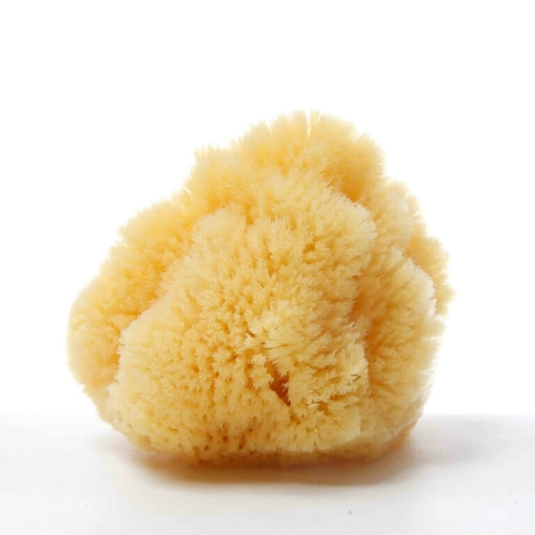 Silk Fine Sea Sponge Natural Mediterranean Sea Sponge Lavencia