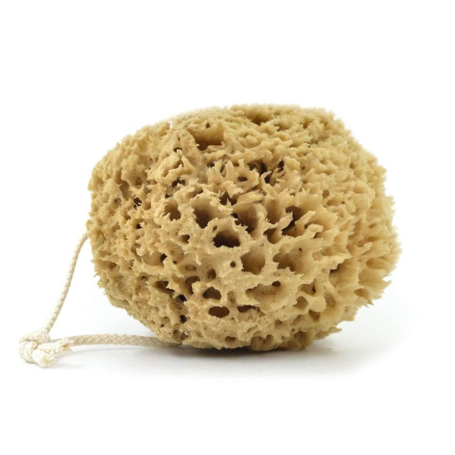 Bleached Honeycomb Sea Sponge 4-5 g