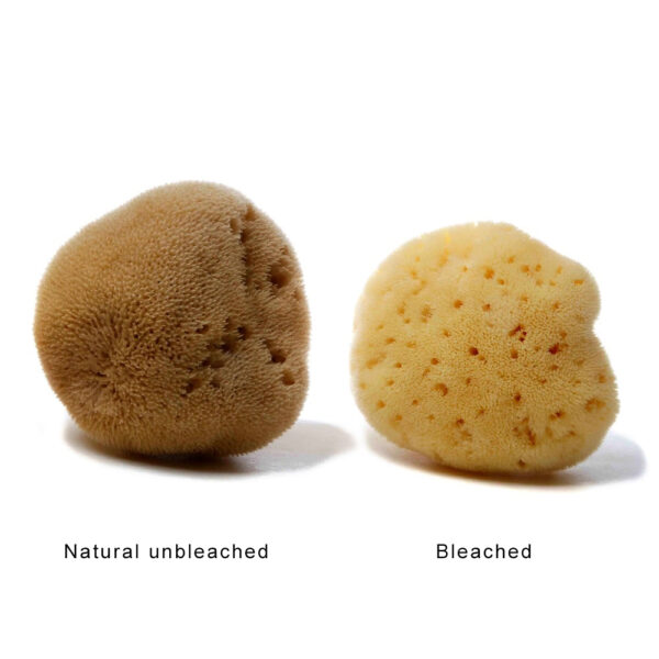 difference between unbleached and bleached sea sponges