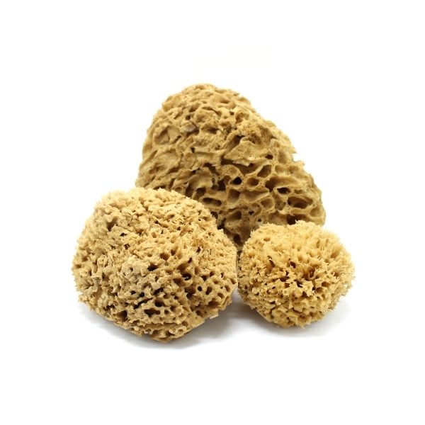 brown natural sea sponge honeycomb sensitive skin baby bath and shower LAVENCIA