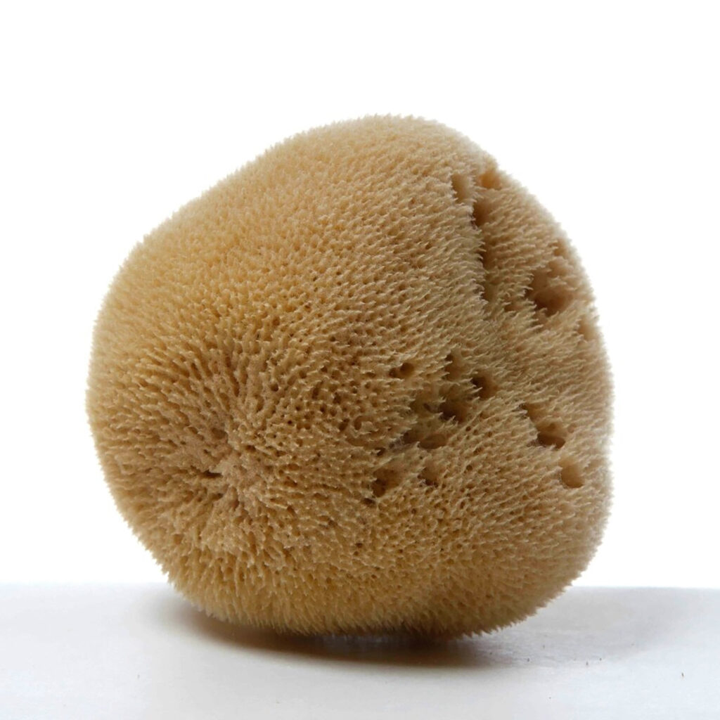 nbleached Silk Fine Natural Sea Sponge from Greece Lavencia