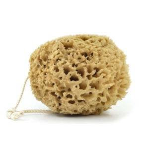 unbleached sea sponge honeycomb sensitive skin baby for face and body